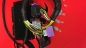 Mobile Preview: AUDI S3 TT LEON 1.8T AMK 209PS  Plug & Play-Adapter  EMU BLACK
