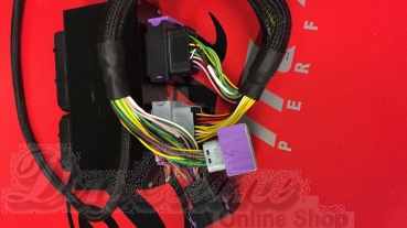 Preview: AUDI 1.8T BAM 225 PS > Plug & Play-Adapter inkl. DBW Modul EMU