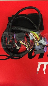 Preview: AUDI S4 / RS4 B5 2.7 Biturbo > Plug & Play-Adapter inkl. DBW Modul EMU