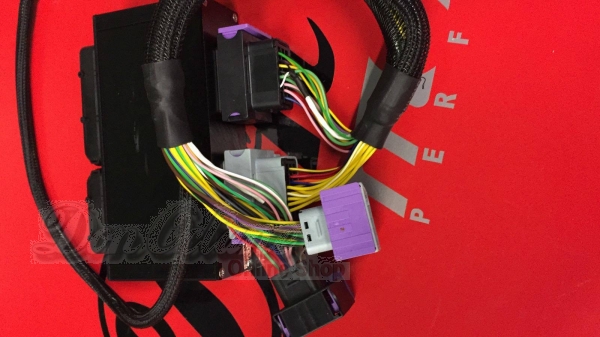 AUDI 1.8T BAM 225 PS > Plug & Play-Adapter inkl. DBW Modul EMU