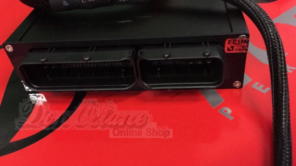 GOLF IV R32 > Plug & Play-Adapter inkl. DBW Modul