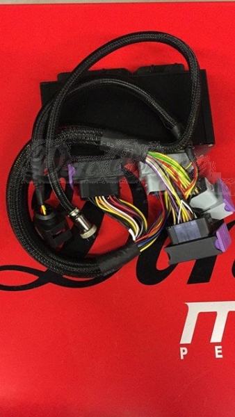 AUDI S4 / RS4 B5 2.7 Biturbo > Plug & Play-Adapter inkl. DBW Modul EMU